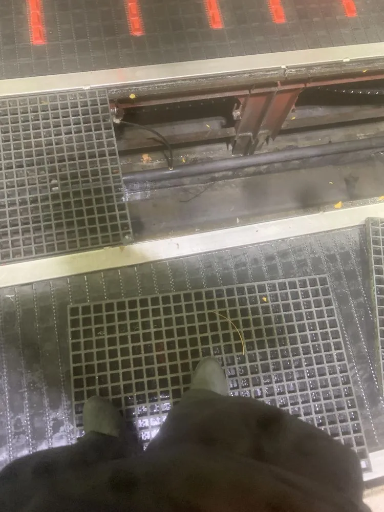 Custom landscaping services for beautiful yards across Dearborn Heights, MI - Central Management