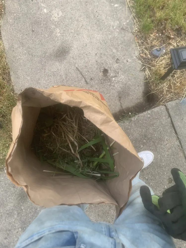 Local yard maintenance for homes across Dearborn Heights, MI - Central Management