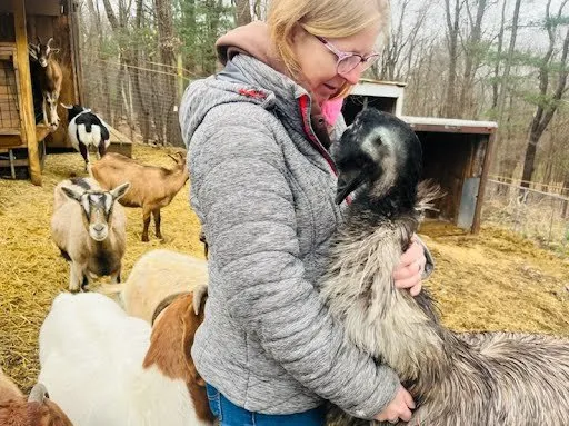 Reliable residential landscaping near you in Lunenburg, MA by Central Mass Goat Rental