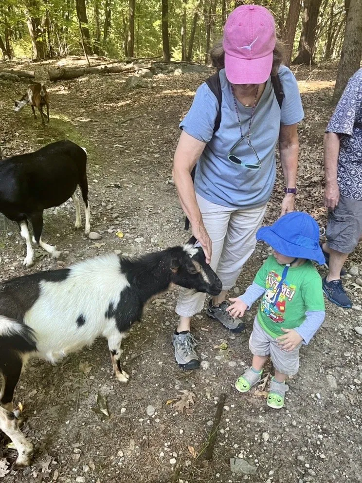 Professional landscaping services in Lunenburg, MA by Central Mass Goat Rental