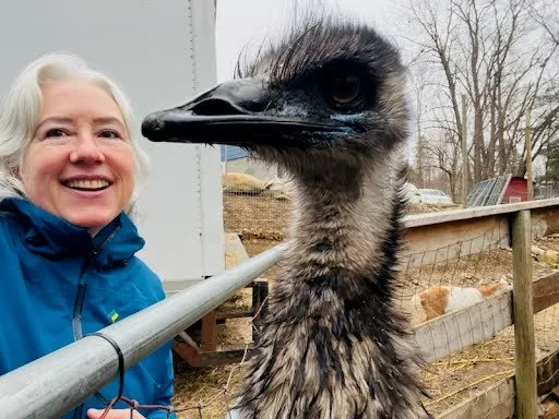 Professional landscape design for beautiful yards in Lunenburg, MA by Central Mass Goat Rental