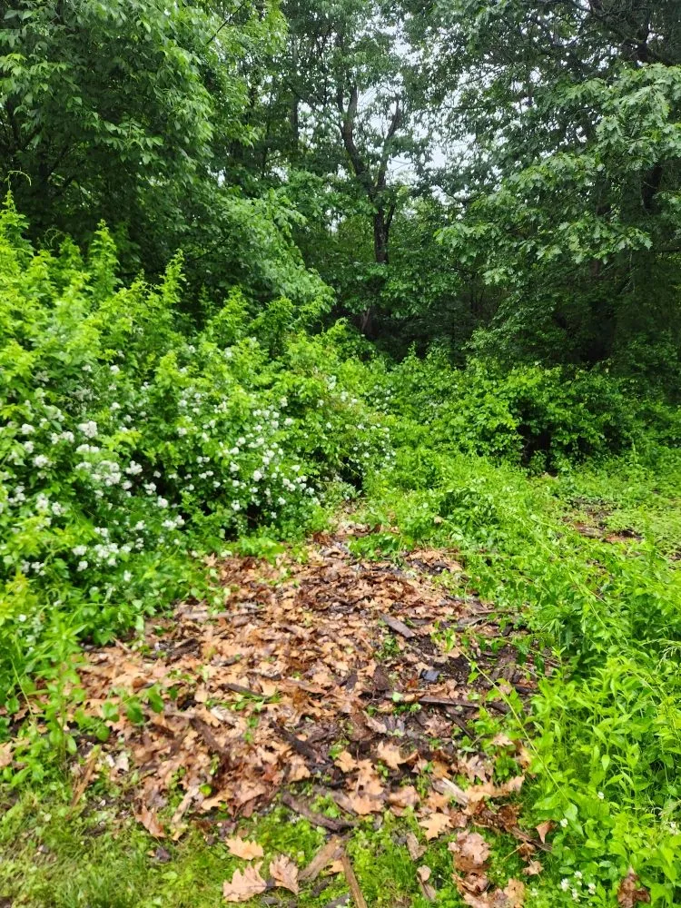 Professional garden landscaping in Hubbardston, MA - Central Mass Junk Solutions