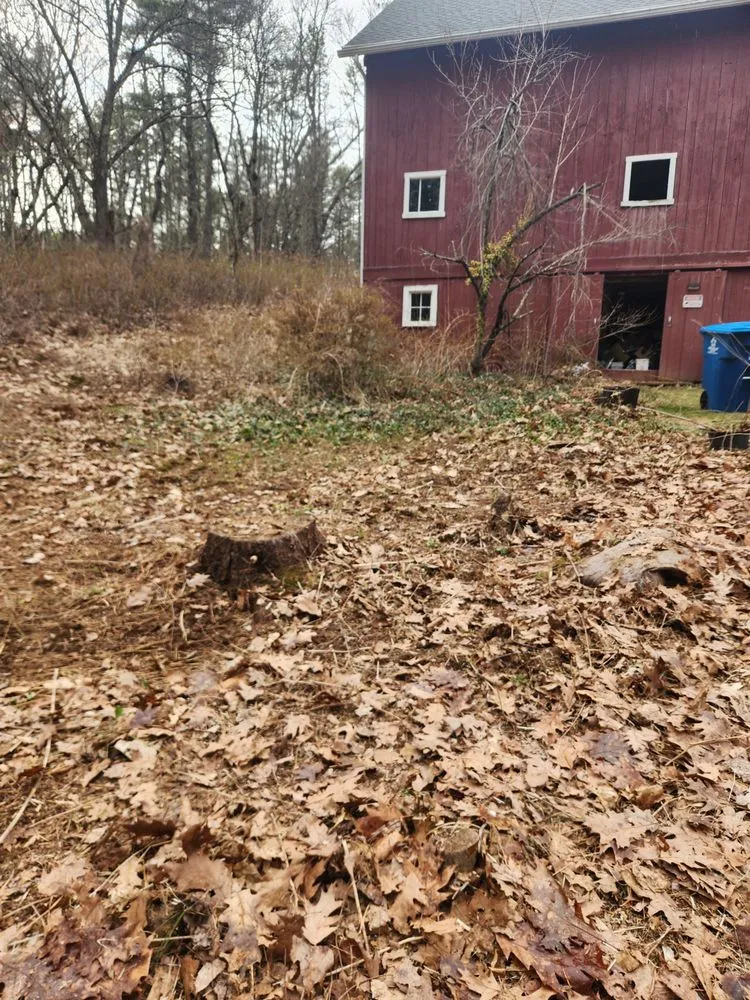 Trusted outdoor landscaping in Hubbardston, MA - Central Mass Junk Solutions