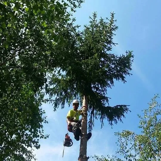 Local landscape design for year-round maintenance across Worcester, MA - Central Mass Landscapes