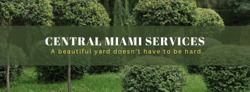 Trusted lawn mowing service in Dayton, OH by Central Miami Services