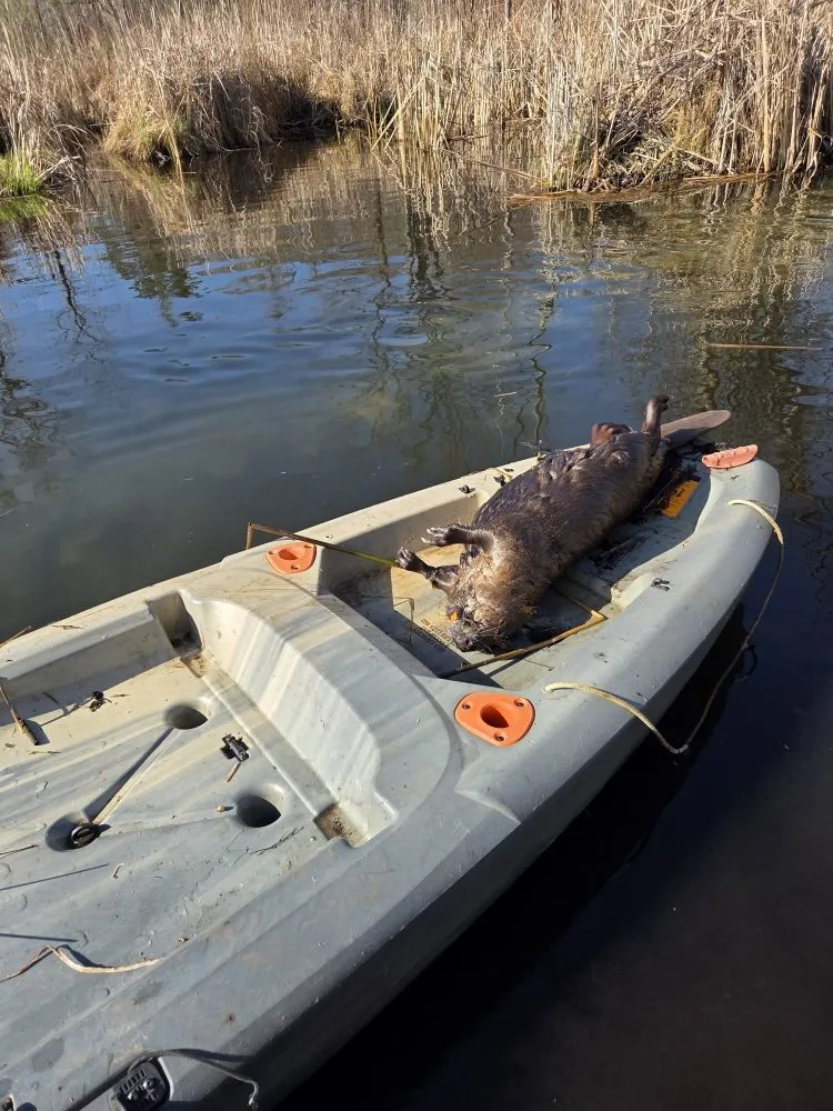 Affordable garden landscaping in Baxter, MN by Central Minnesota Services
