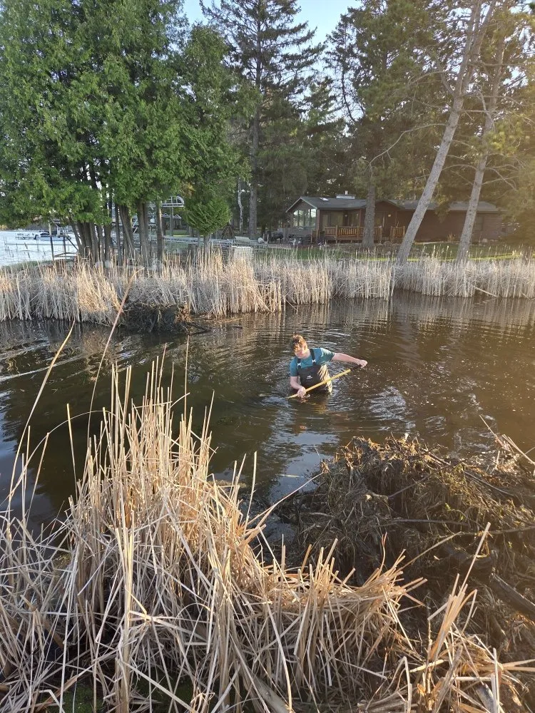 Top-rated landscape design for beautiful yards across Baxter, MN - Central Minnesota Services