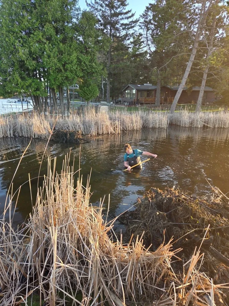 Local yard cleanup service in Baxter, MN - Central Minnesota Services