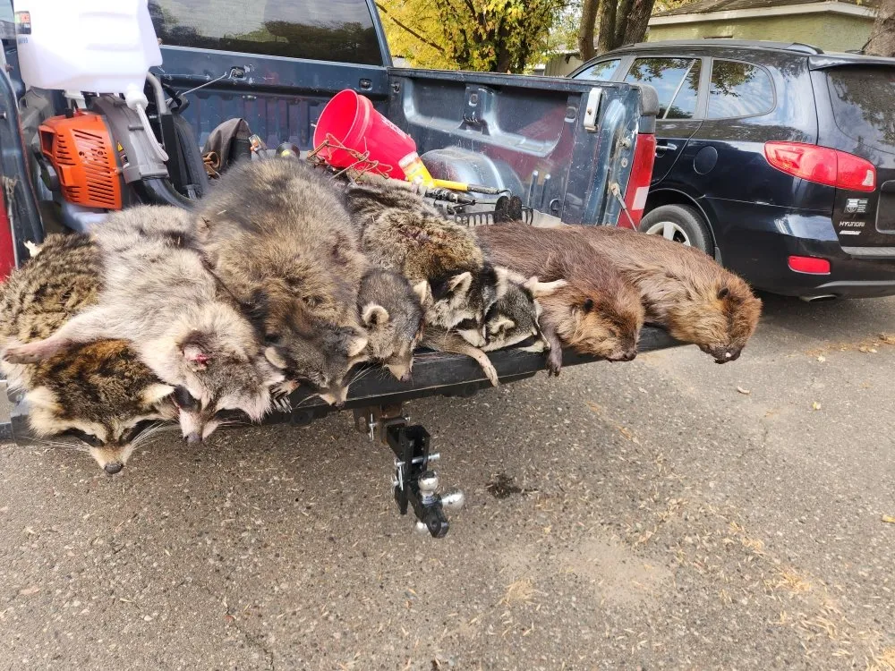 Expert lawn care service for year-round maintenance in Baxter, MN by Central Minnesota Services