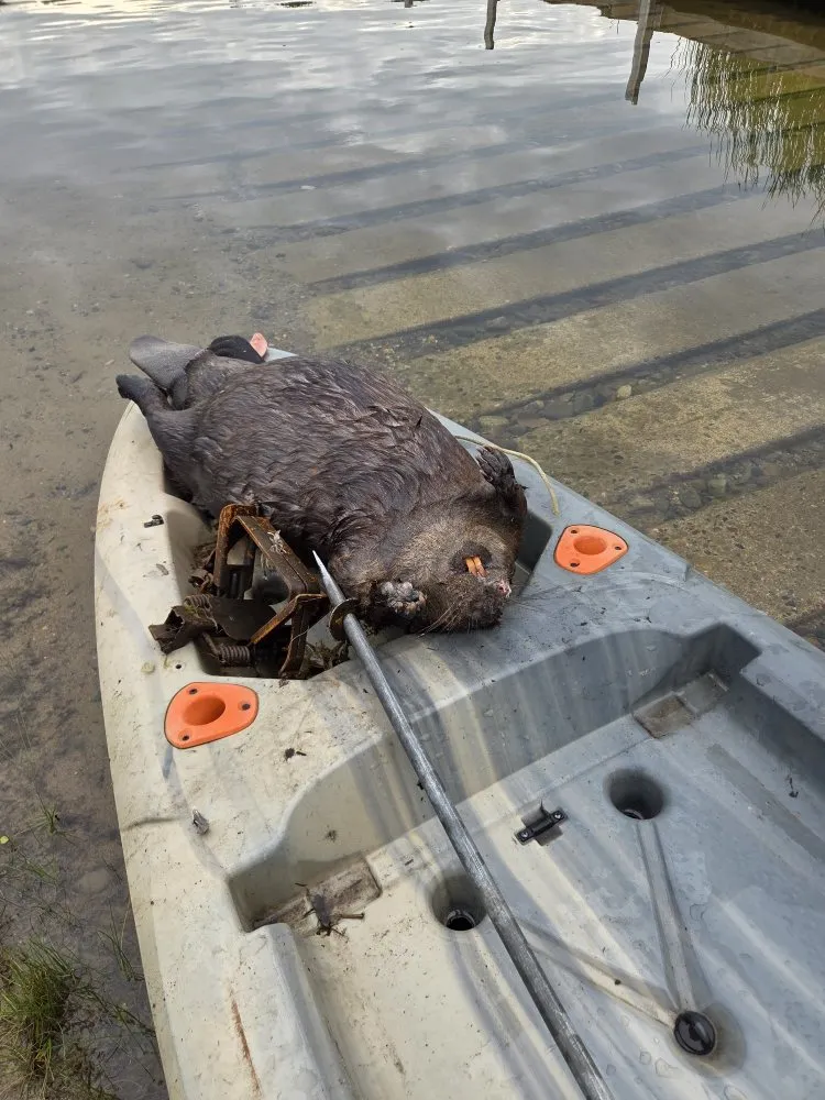 Trusted residential landscaping in Baxter, MN - Central Minnesota Services