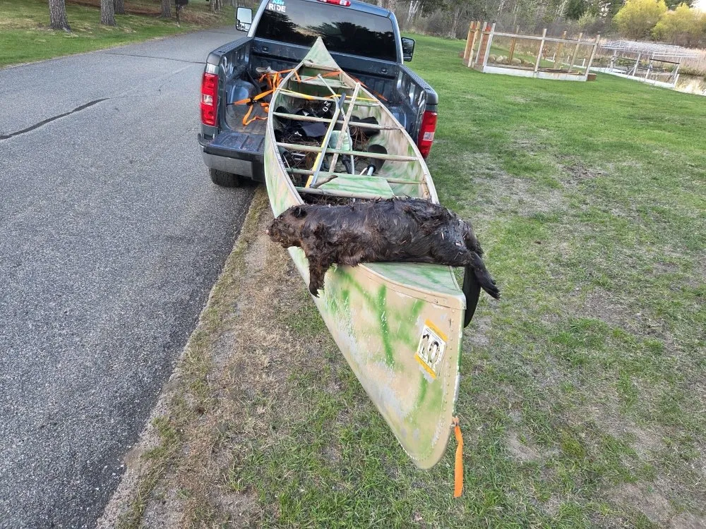 Professional landscaping services experts serving Baxter, MN - Central Minnesota Services