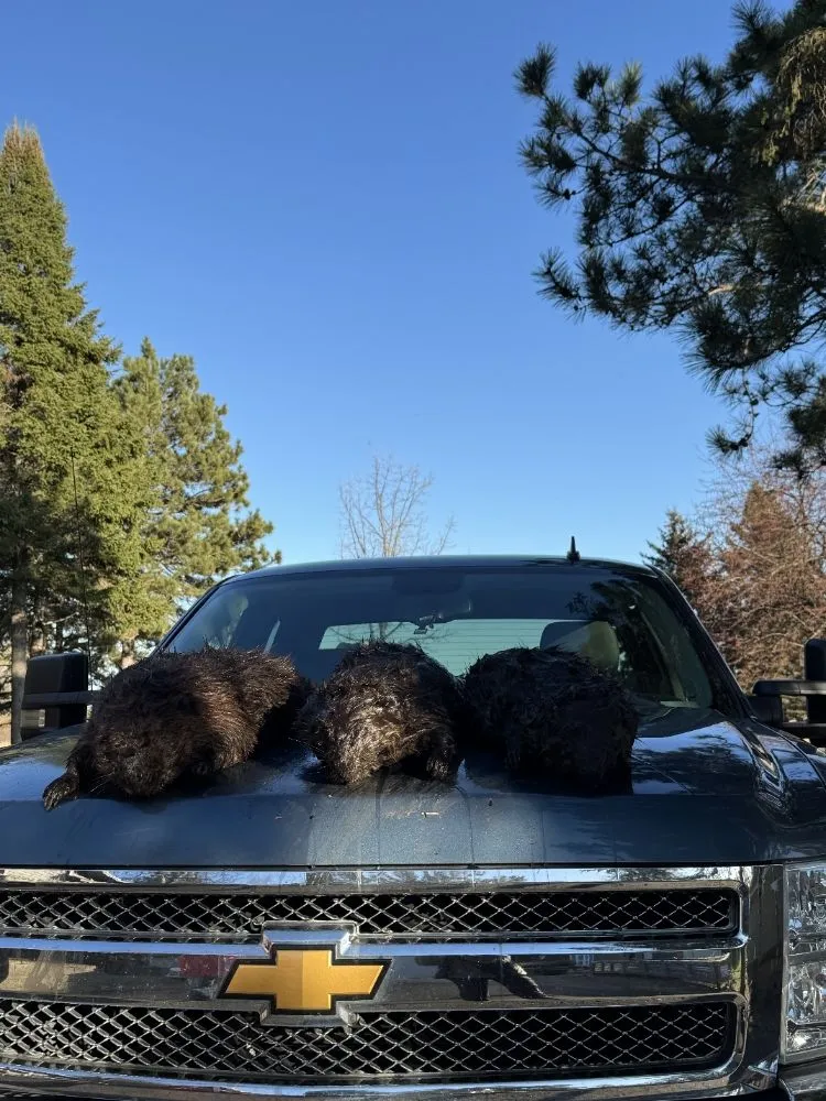 Custom lawn mowing service in Baxter, MN by Central Minnesota Services