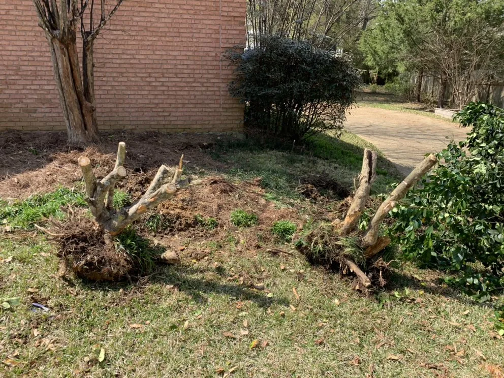 Top-rated landscape installation for homes across Brandon, MS - Central MS Landscaping