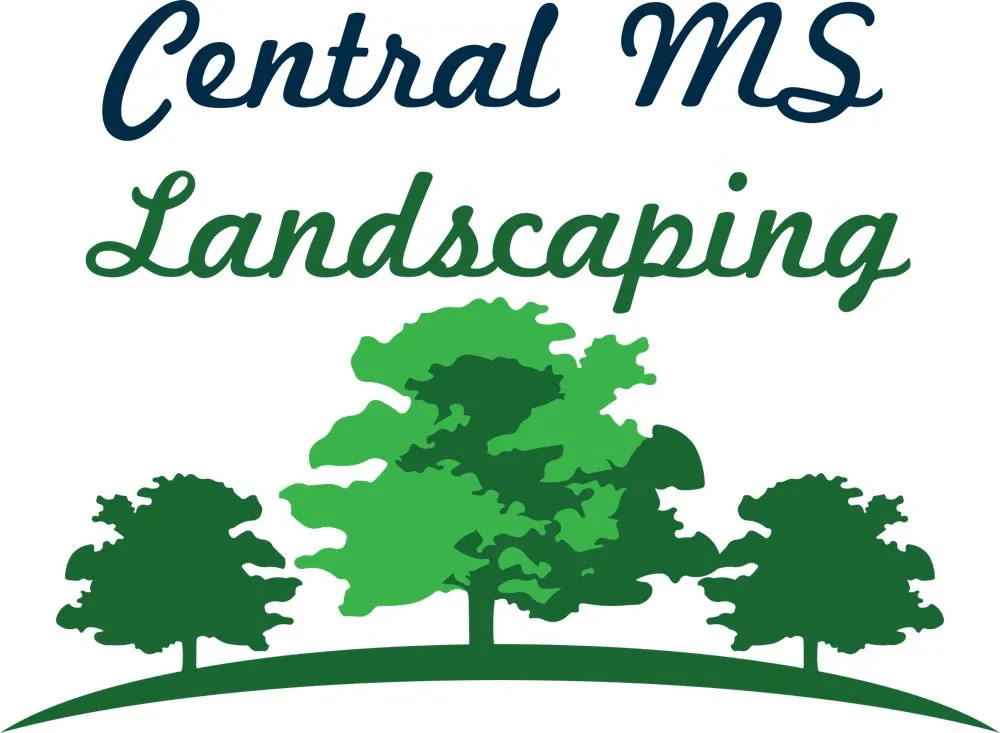 Affordable landscaping services for outdoor upgrades in Brandon, MS by Central MS Landscaping