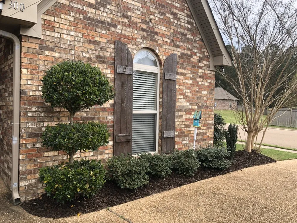 Professional landscaping services for outdoor upgrades across Brandon, MS - Central MS Landscaping