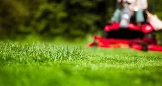 Reliable lawn mowing service with custom design in Brandon, MS by Central MS Landscaping