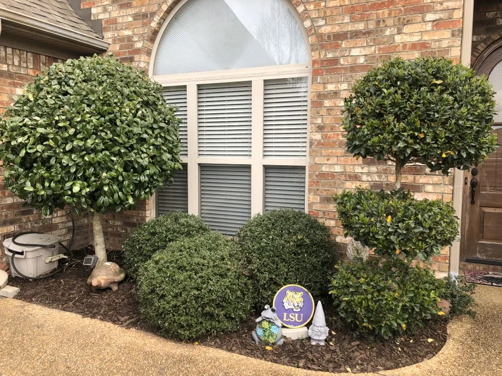 Trusted yard cleanup service for homes in Brandon, MS by Central MS Landscaping