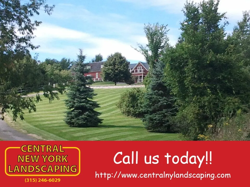Professional landscape design in Auburn, NY by Central New York Landscaping
