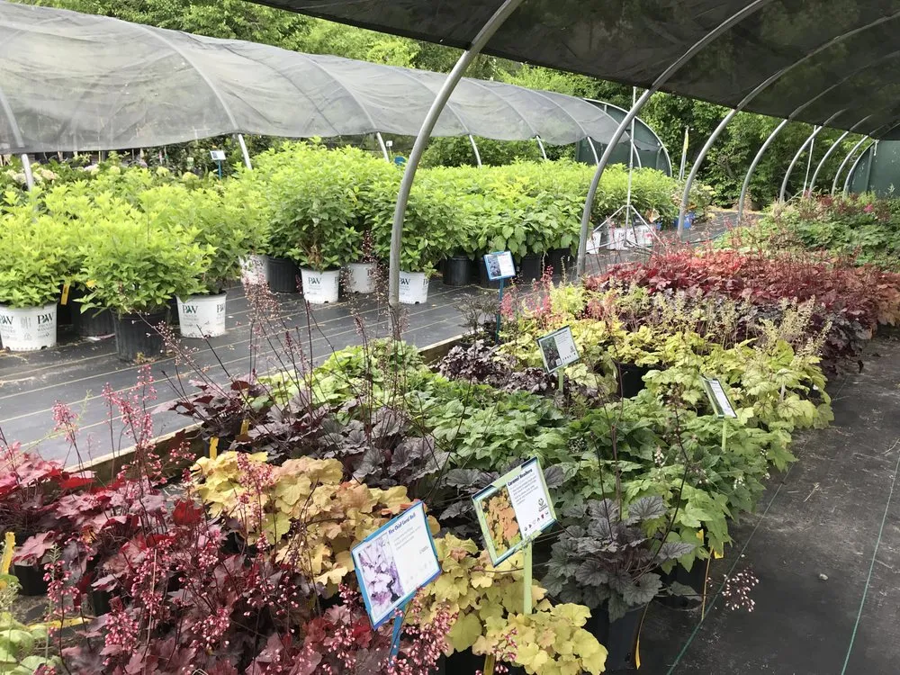 Local lawn mowing service for year-round maintenance across Johnston, RI - Central Nurseries