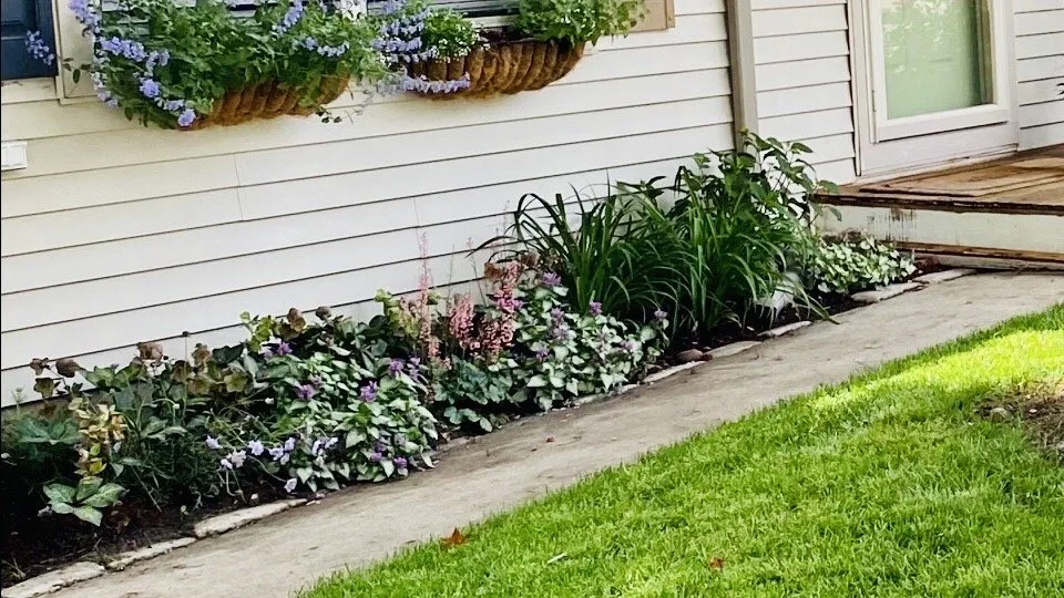 Local landscape installation near you in Johnston, RI by Central Nurseries