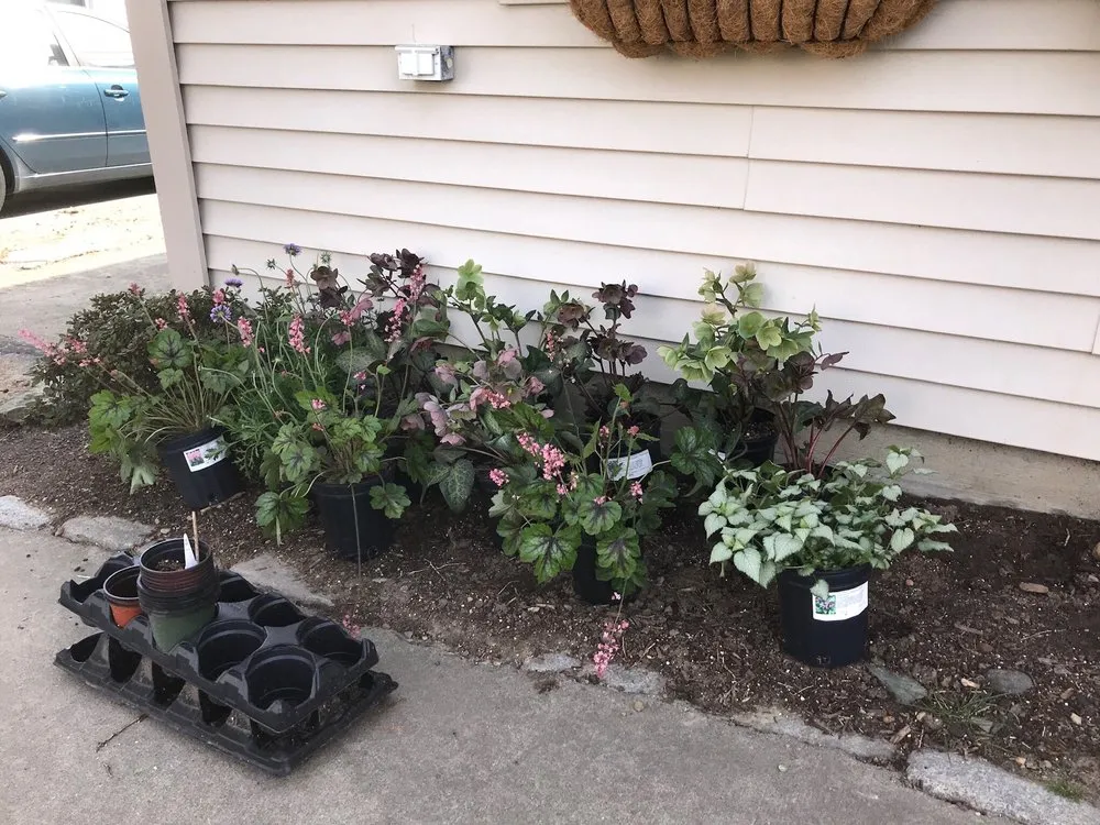 Trusted yard maintenance for outdoor upgrades across Johnston, RI - Central Nurseries