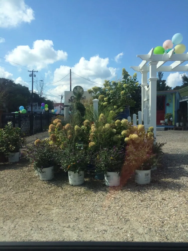 Custom lawn care service in Johnston, RI by Central Nurseries