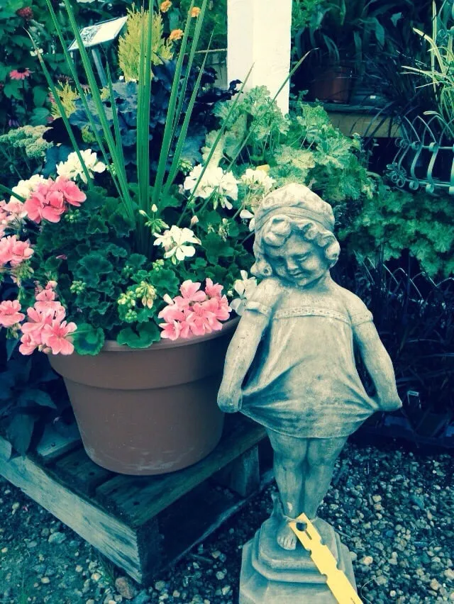 Custom garden landscaping for year-round maintenance in Johnston, RI by Central Nurseries