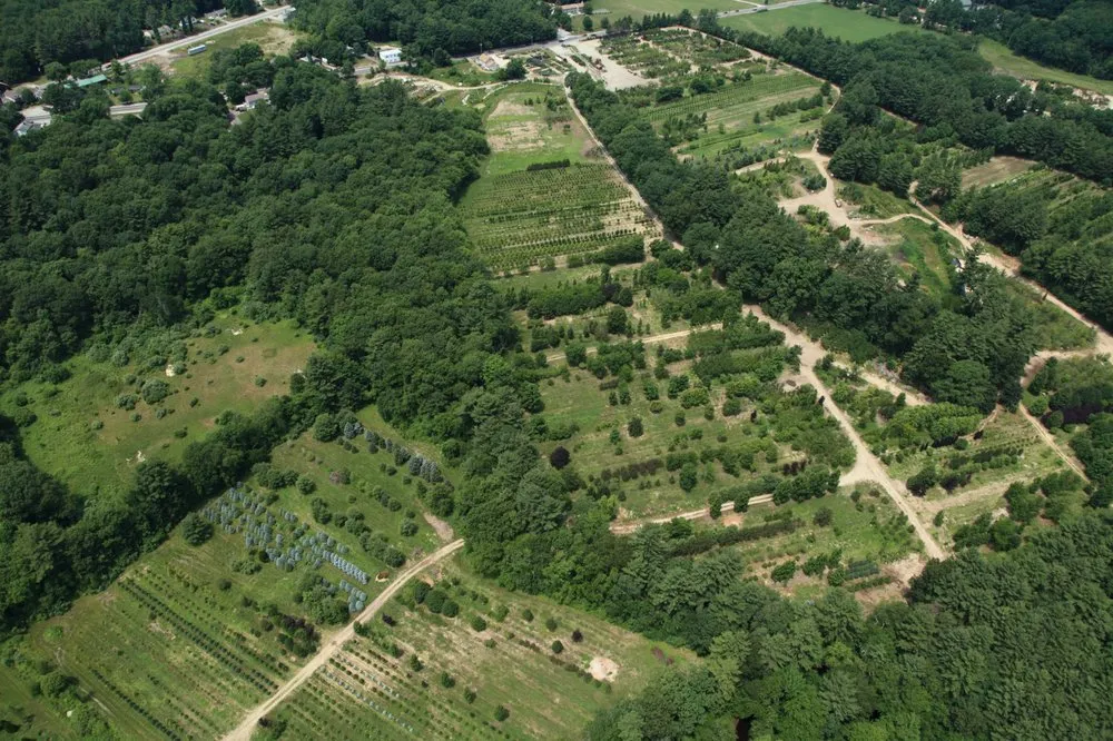 Expert lawn mowing service in Chepachet, RI by Central Nurseries Tree Farm & Wholesale Distrubution Center