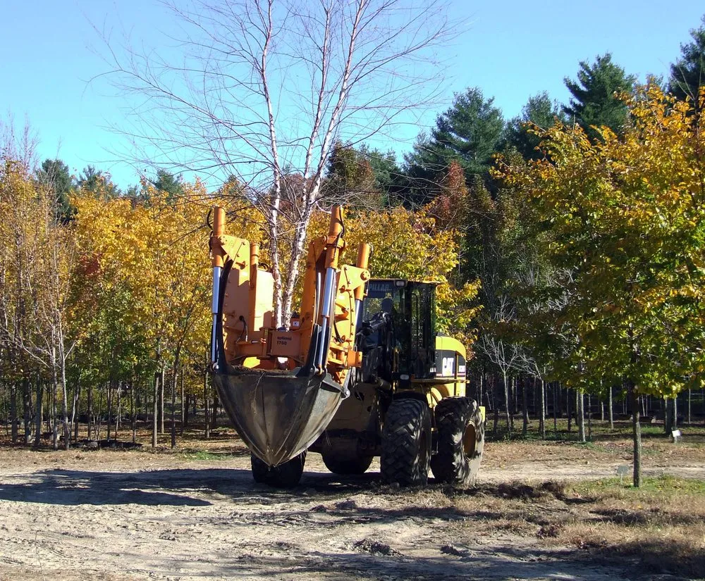 Reliable lawn mowing service for year-round maintenance in Chepachet, RI by Central Nurseries Tree Farm & Wholesale Distrubution Center