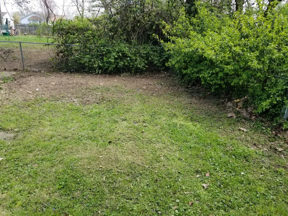 Reliable yard maintenance in Columbus, OH - Central Ohio Grass Cutters