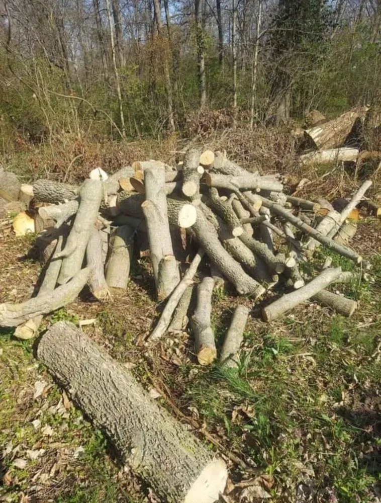 Custom residential landscaping for residential properties in Ashville, OH by Central Ohio Tree And Lawn