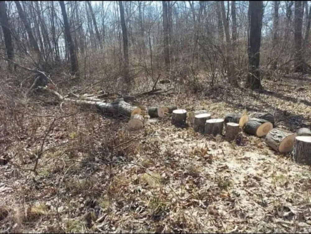 Custom lawn care service in Ashville, OH - Central Ohio Tree And Lawn