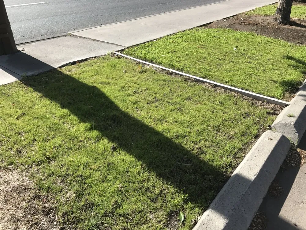 Trusted yard maintenance for year-round maintenance across Bend, OR - Central Oregon Lawn Center