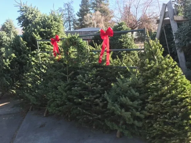 Expert residential landscaping experts serving Bend, OR - Central Oregon Lawn Center