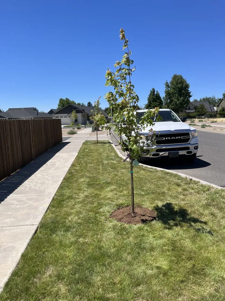 Expert residential landscaping in Prineville, OR by Central Oregon Residential Services