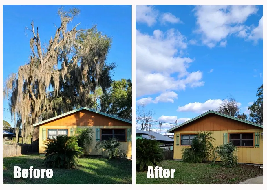 Reliable lawn care service in Sebring, FL - Central Outdoor Services