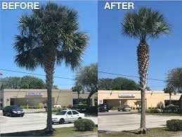 Trusted outdoor landscaping in Sebring, FL by Central Outdoor Services