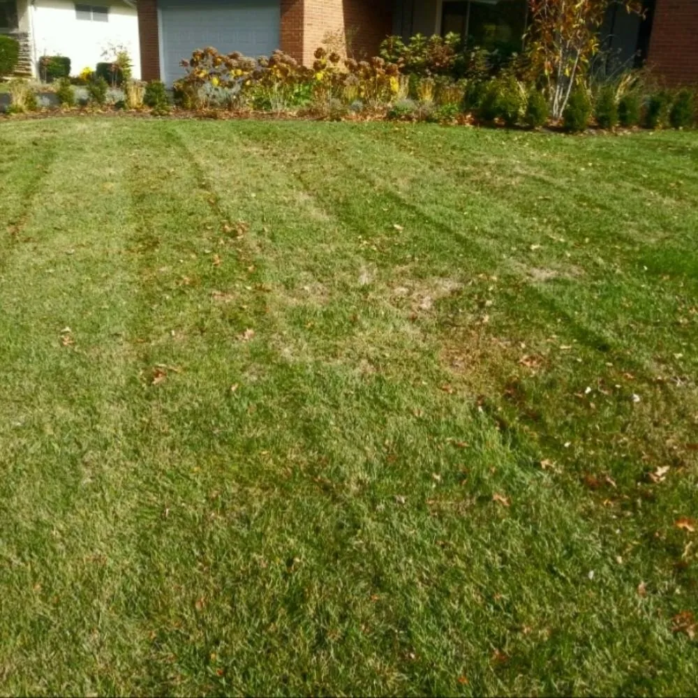 Expert lawn mowing service in Columbus, OH by Central Pro Lawncare