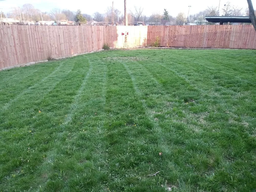 Local lawn care service for year-round maintenance in Columbus, OH by Central Pro Lawncare