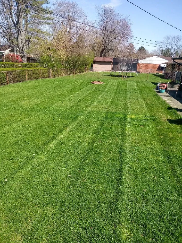 Top-rated yard maintenance with custom design across Columbus, OH - Central Pro Lawncare