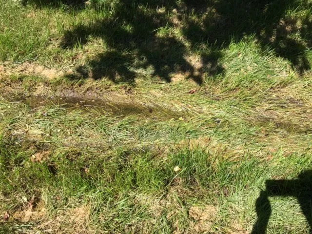 Expert lawn care service experts serving Waukesha, WI - Central Services