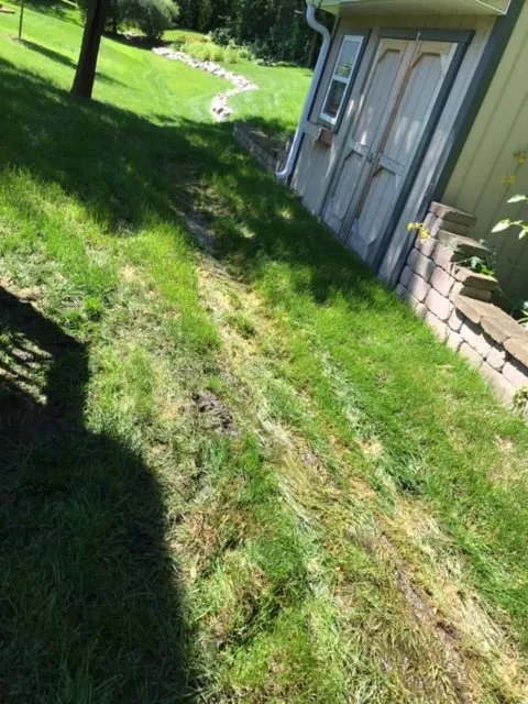 Reliable lawn mowing service for beautiful yards across Waukesha, WI - Central Services