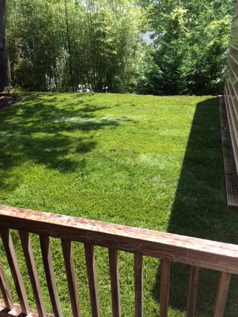 Affordable residential landscaping in Annapolis, MD - Central Sod Farms