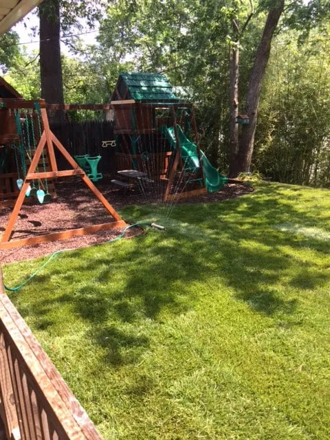 Affordable lawn care service near you across Annapolis, MD - Central Sod Farms