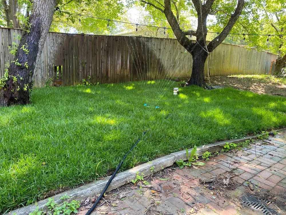 Custom landscape design experts serving Annapolis, MD - Central Sod Farms