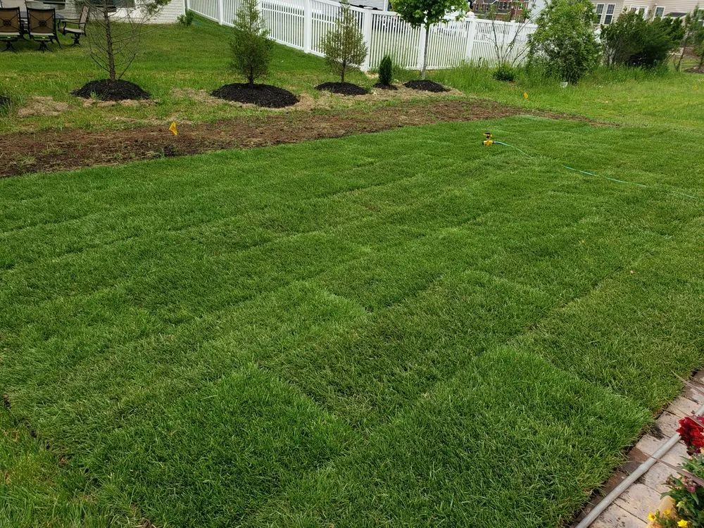Local lawn care service experts serving Annapolis, MD - Central Sod Farms