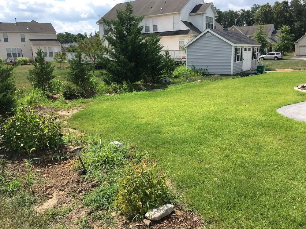 Professional landscaping services for homes across Annapolis, MD - Central Sod Farms