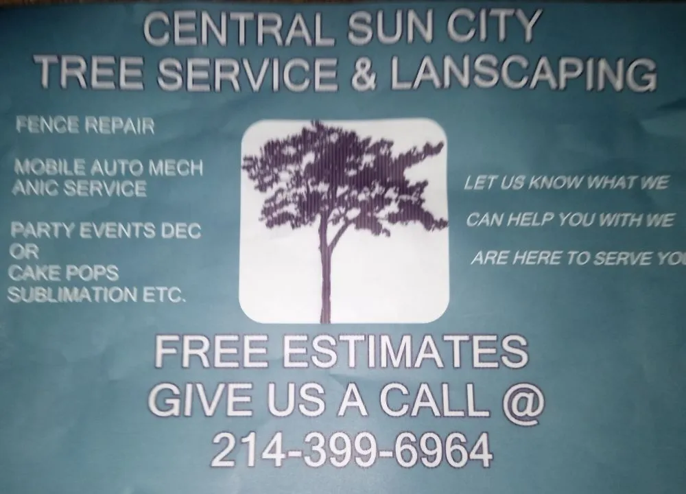 Professional landscape design in DeSoto, TX by Central Sun City Lawn Care