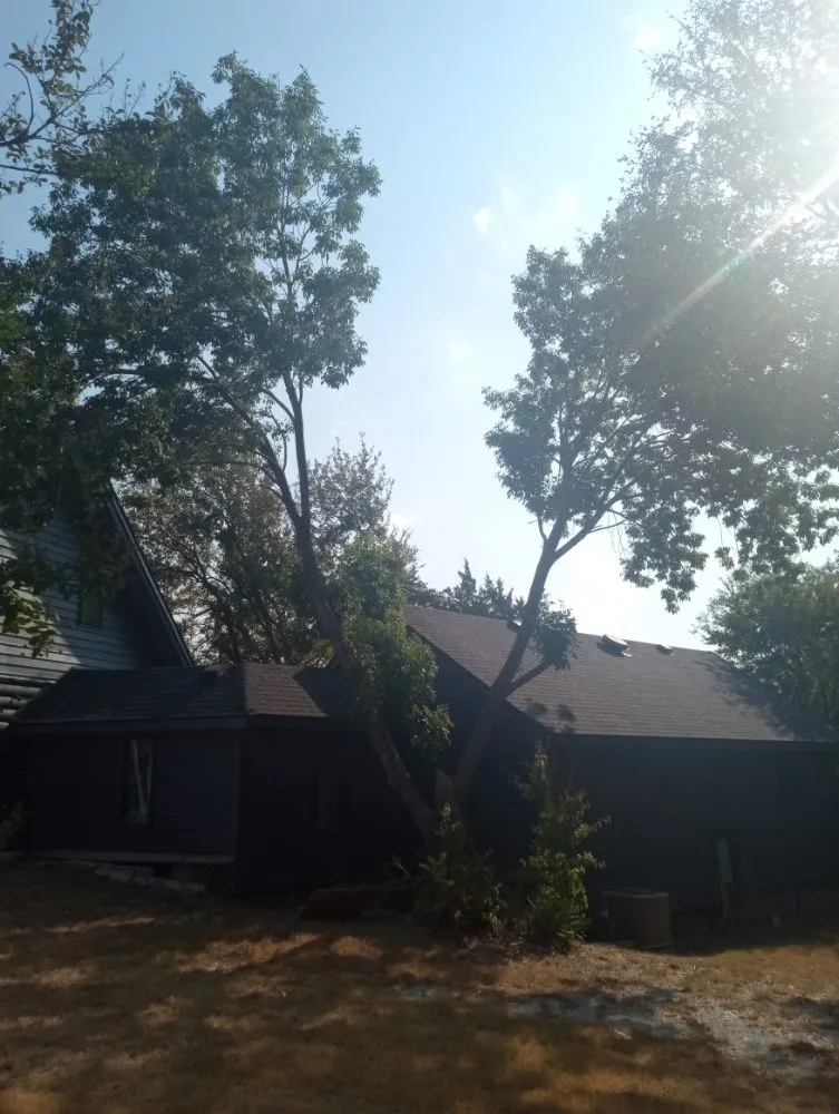 Local yard maintenance in DeSoto, TX - Central Sun City Lawn Care