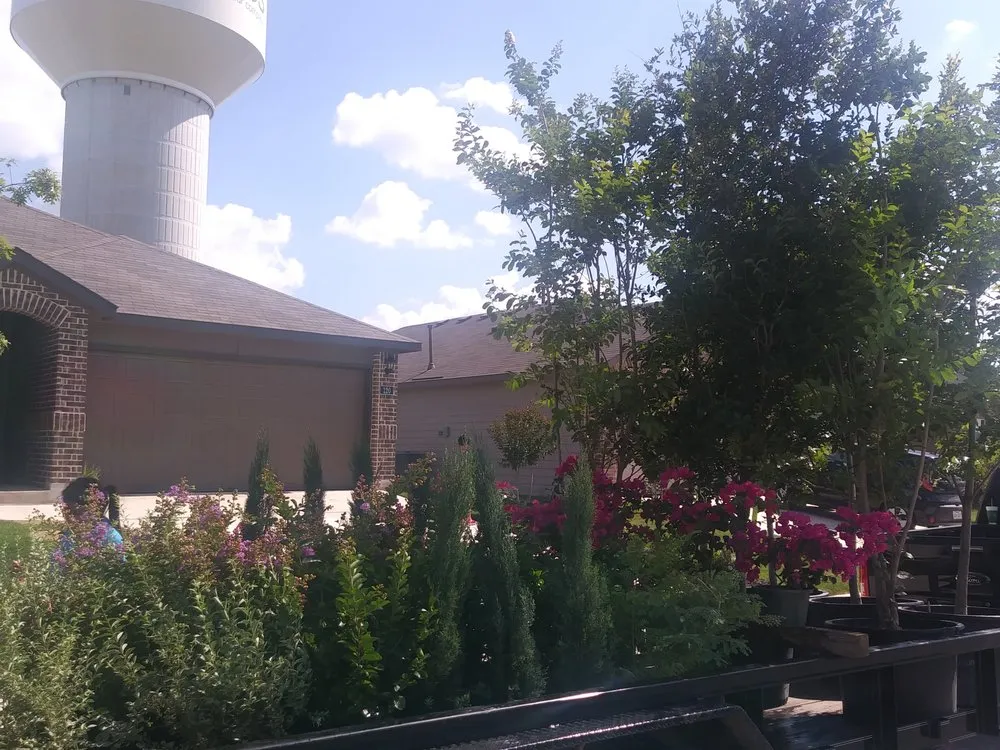 Local lawn care service in San Marcos, TX - Central Texas Enterprise Hauling